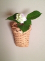 f:id:a1093354:20140614180625j:image:medium:left