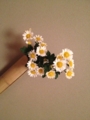 f:id:a1093354:20141108185116j:image:medium:left