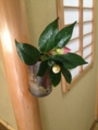 f:id:a1093354:20141223130945j:image:medium:left
