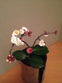 f:id:a1093354:20150124180321j:image:medium:left