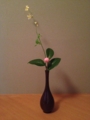 f:id:a1093354:20150404180006j:image:medium:left