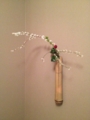 f:id:a1093354:20150404180508j:image:medium:left