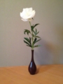 f:id:a1093354:20150509173108j:image:medium:left
