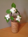 f:id:a1093354:20150523180425j:image:medium:left