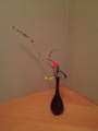 f:id:a1093354:20151219182801j:image:medium:left