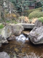 f:id:a1093354:20151223121343j:image:medium:left