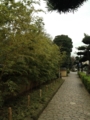 f:id:a1093354:20151223121601j:image:medium:left