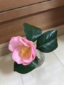 f:id:a1093354:20180204153445j:image:medium:left