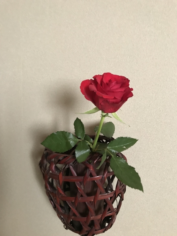 f:id:a1093354:20180429154156j:image:w640:left