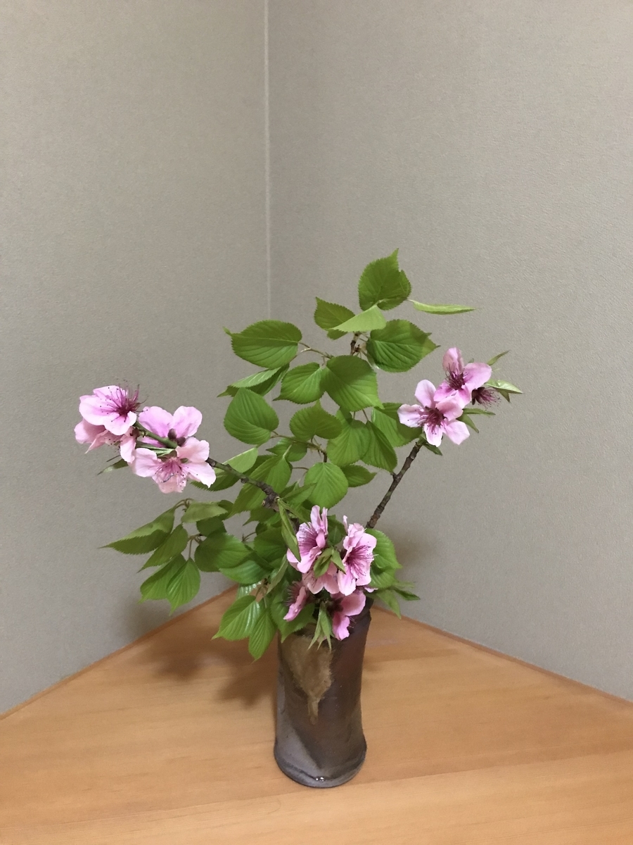 f:id:a1093354:20190406183250j:plain