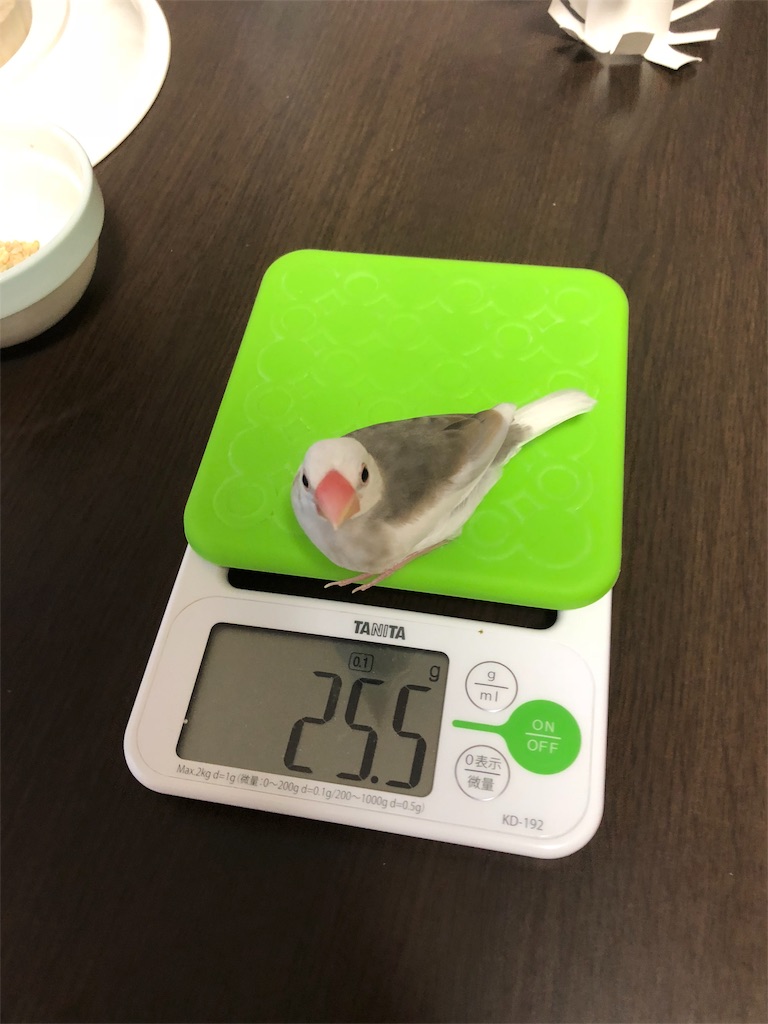 f:id:a10o:20180615131632j:image