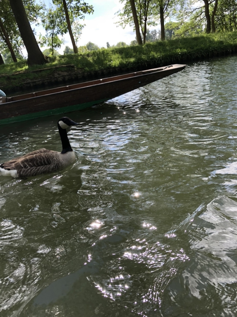 f:id:a1235813zhumor:20180619065652j:plain f:id:a1235813zhumor:20180619065652j:plain