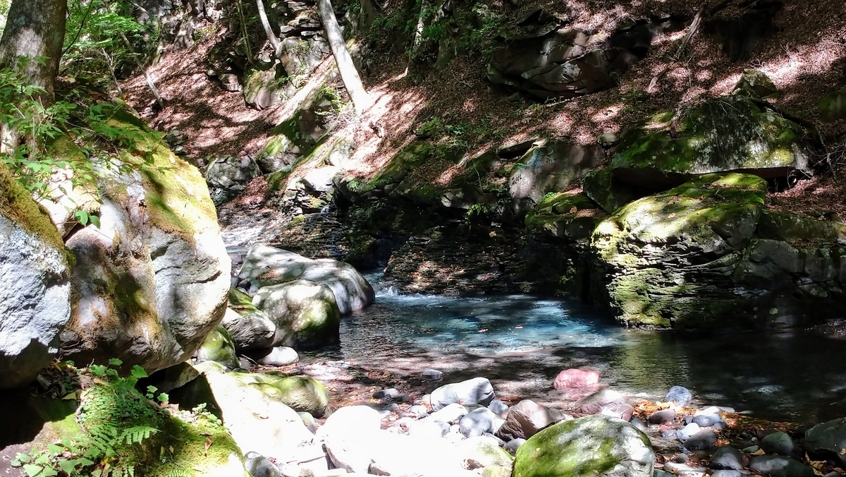 f:id:a1518362:20220126213711j:plain