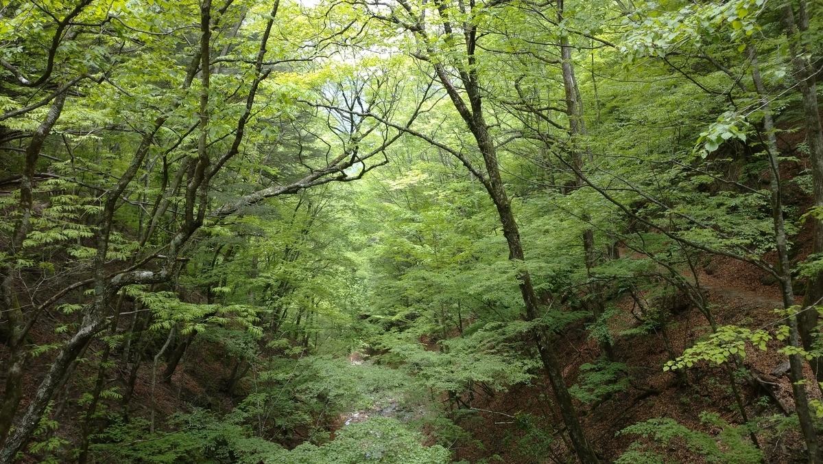 f:id:a1518362:20220126214931j:plain