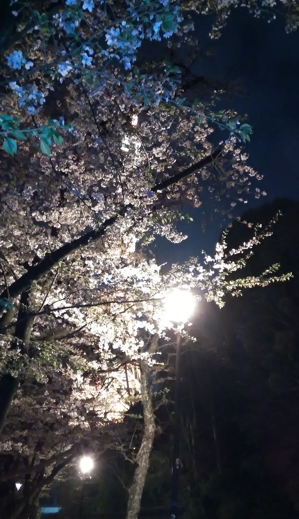f:id:a16777216:20181231184402j:plain