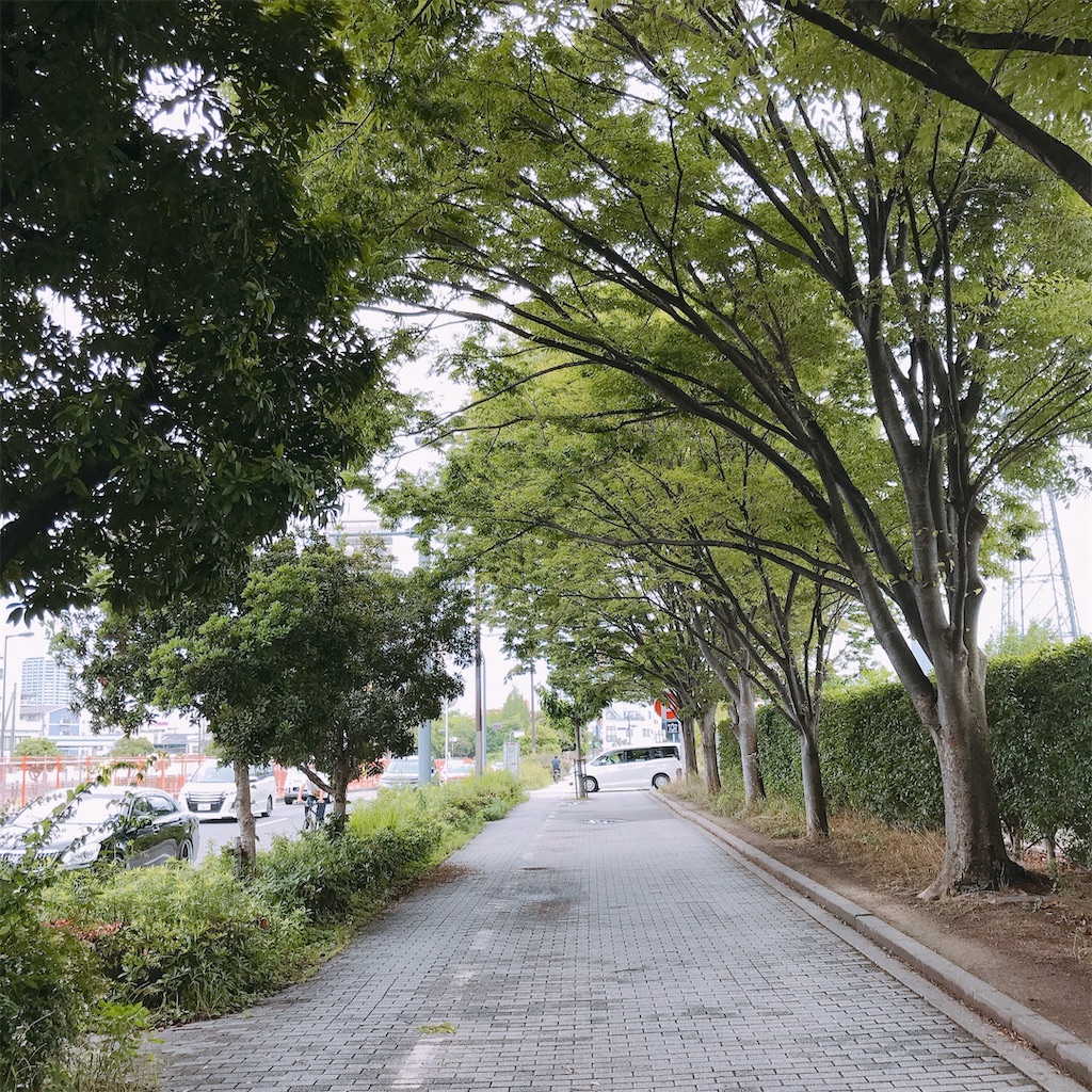 f:id:a16y27n02s01:20200616000256j:image