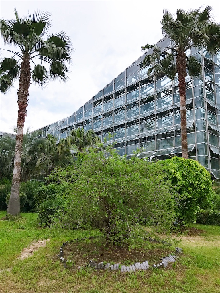 f:id:a16y27n02s01:20200616014033j:image