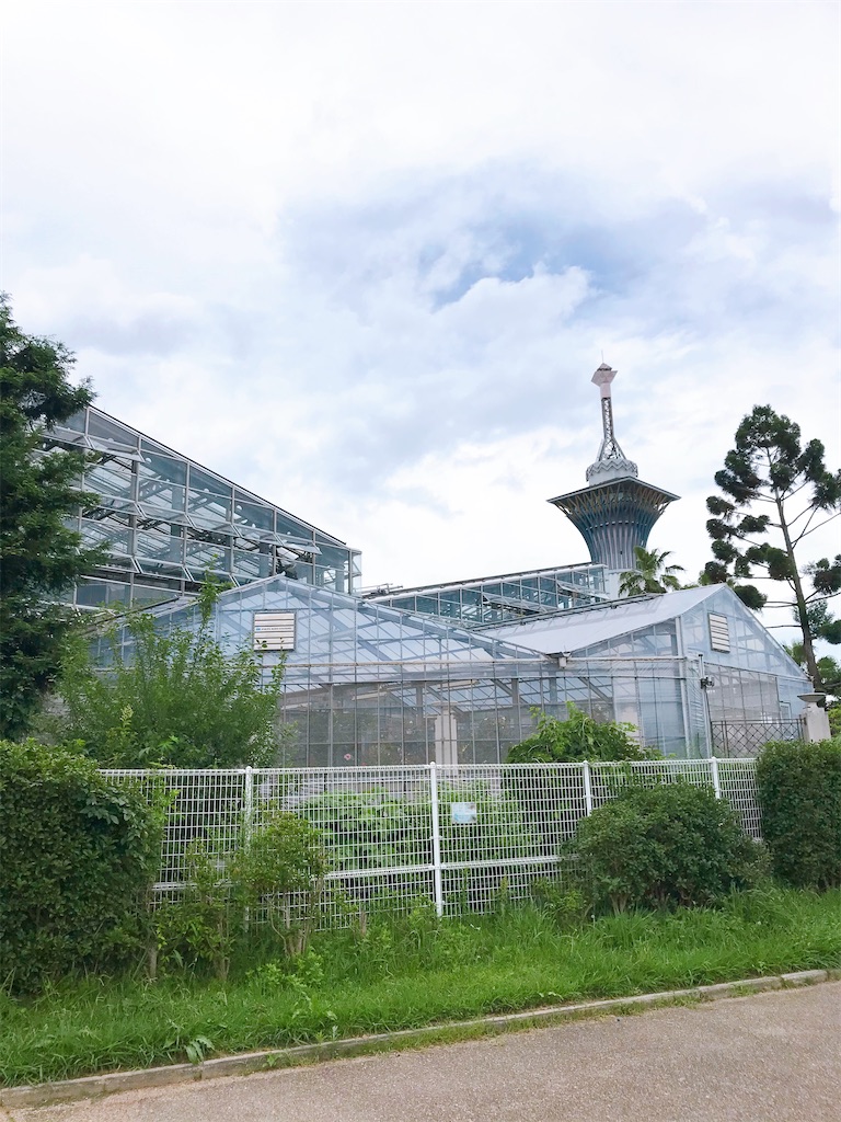 f:id:a16y27n02s01:20200616014049j:image