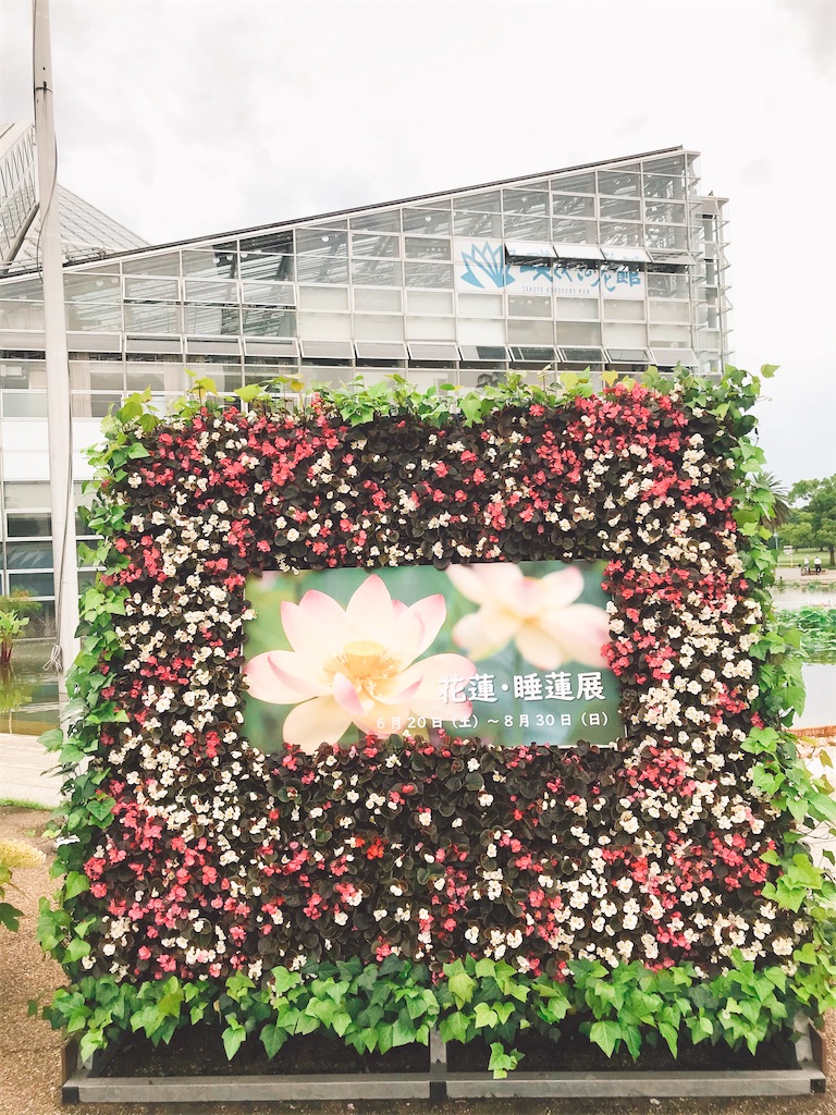 f:id:a16y27n02s01:20200616014107j:image