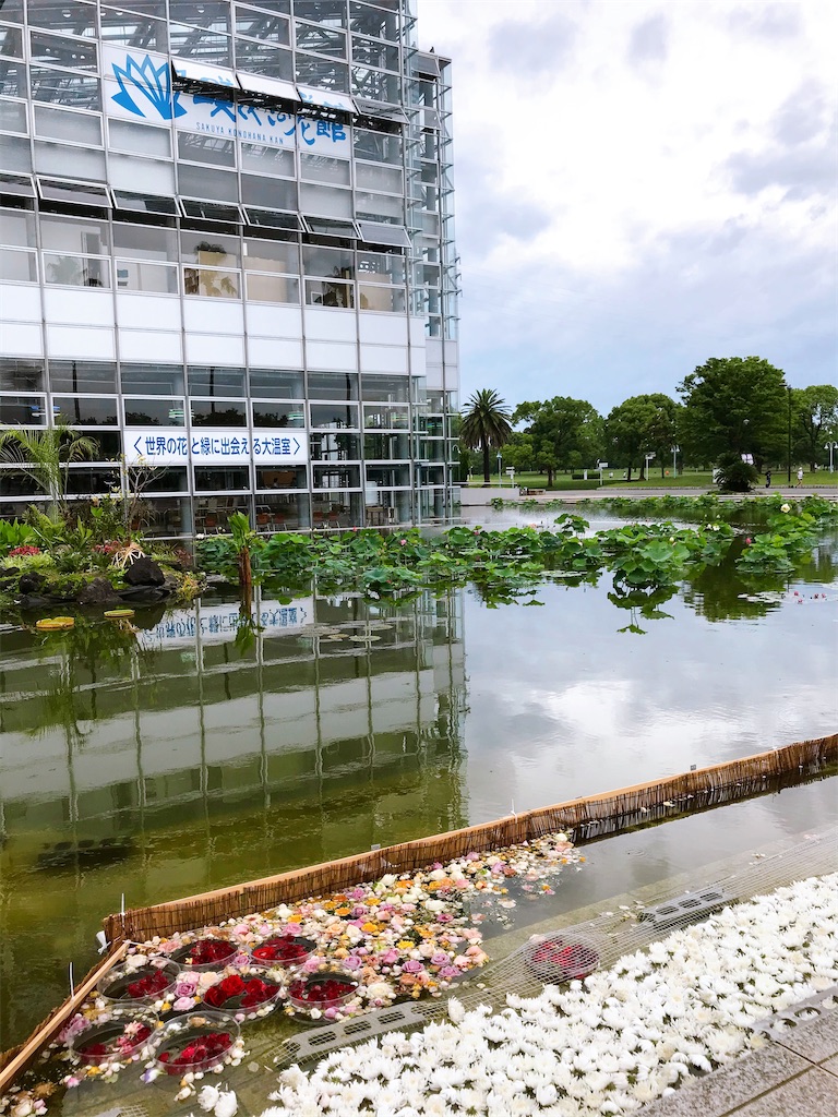 f:id:a16y27n02s01:20200616014142j:image