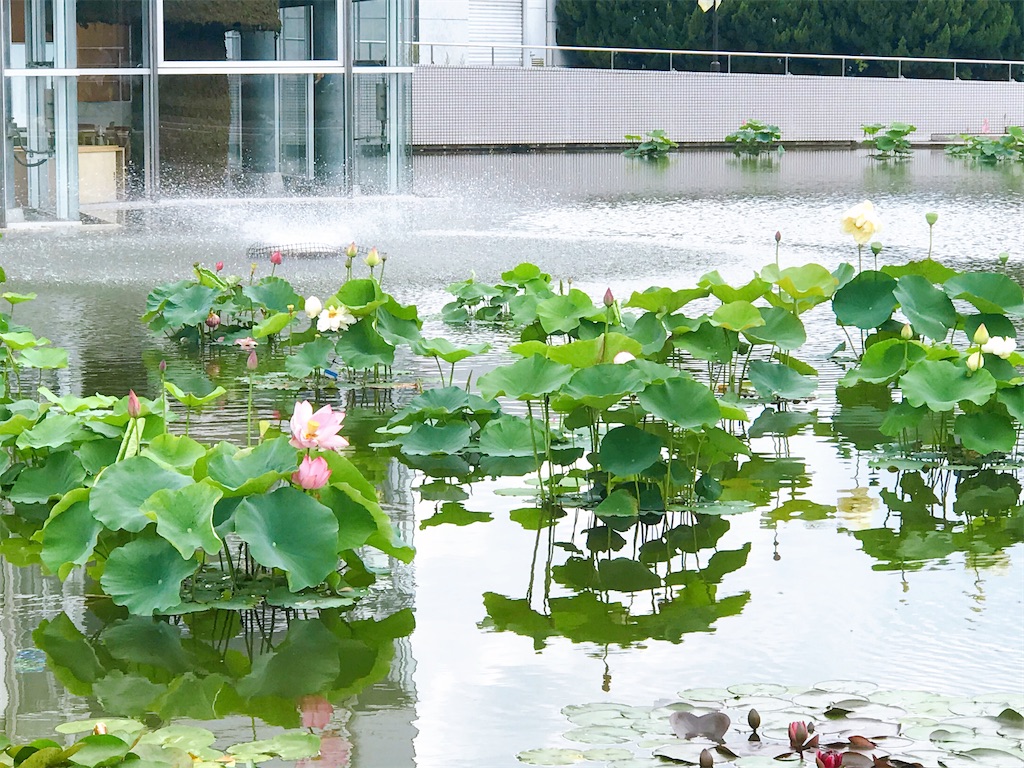 f:id:a16y27n02s01:20200616014410j:image