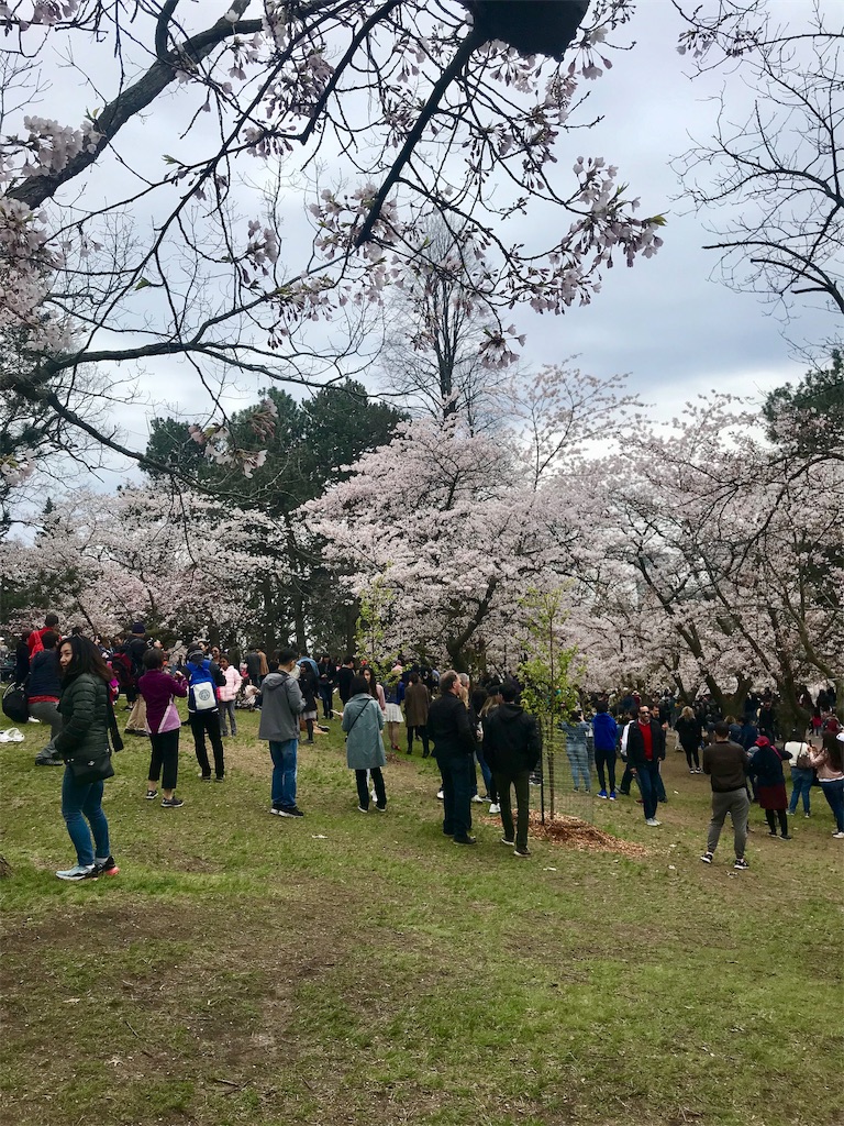 f:id:a1oe1ha:20190512211049j:image