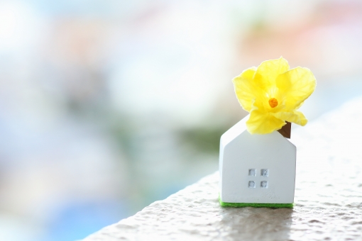 f:id:a1t2s2u2:20200428120115j:plain f:id:a1t2s2u2:20200428120115j:plain