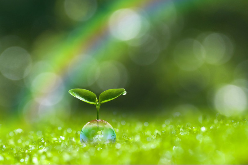 f:id:a1t2s2u2:20200520114541j:plain f:id:a1t2s2u2:20200520114541j:plain