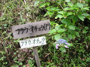 f:id:a2004:20070722162911j:image