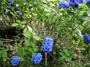 f:id:a2004:20070722163413j:image