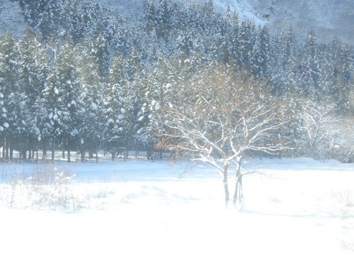 f:id:a2004:20071222115246j:image