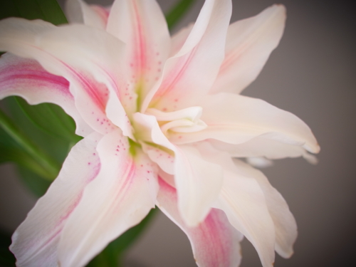 f:id:a2004:20120114001148j:image