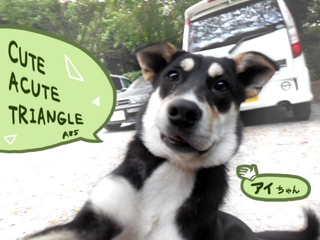 f:id:a200v:20130925234108j:plain f:id:a200v:20130925234108j:plain