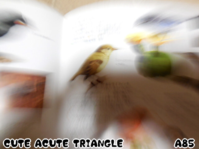 f:id:a200v:20150420231708j:plain f:id:a200v:20150420231708j:plain