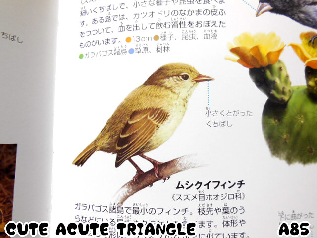 f:id:a200v:20150420231723j:plain f:id:a200v:20150420231723j:plain