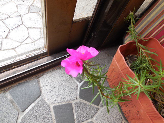 f:id:a200v:20150829145657j:plain f:id:a200v:20150829145657j:plain