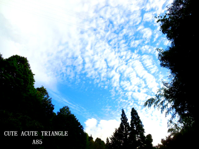 f:id:a200v:20151119214554j:plain