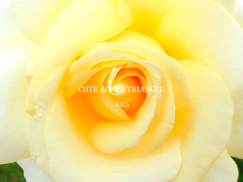 f:id:a200v:20151125222009j:plain f:id:a200v:20151125222009j:plain