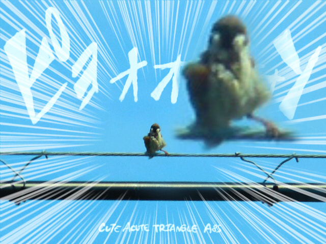 f:id:a200v:20160724172142j:plain