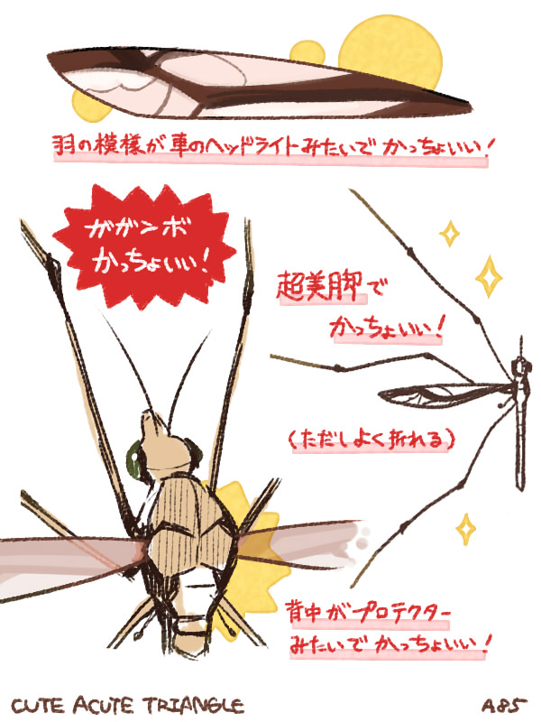 f:id:a200v:20160904205136j:plain f:id:a200v:20160904205136j:plain