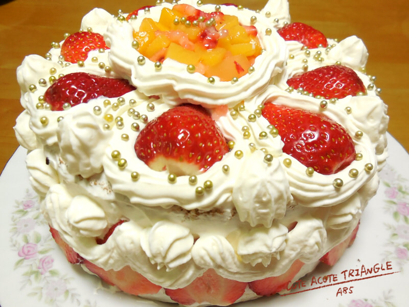 f:id:a200v:20170115192609j:plain