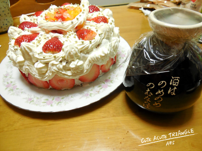 f:id:a200v:20170115192610j:plain