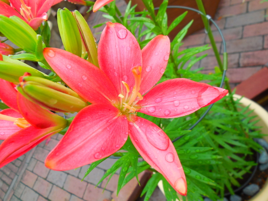 f:id:a200v:20170711000956j:plain