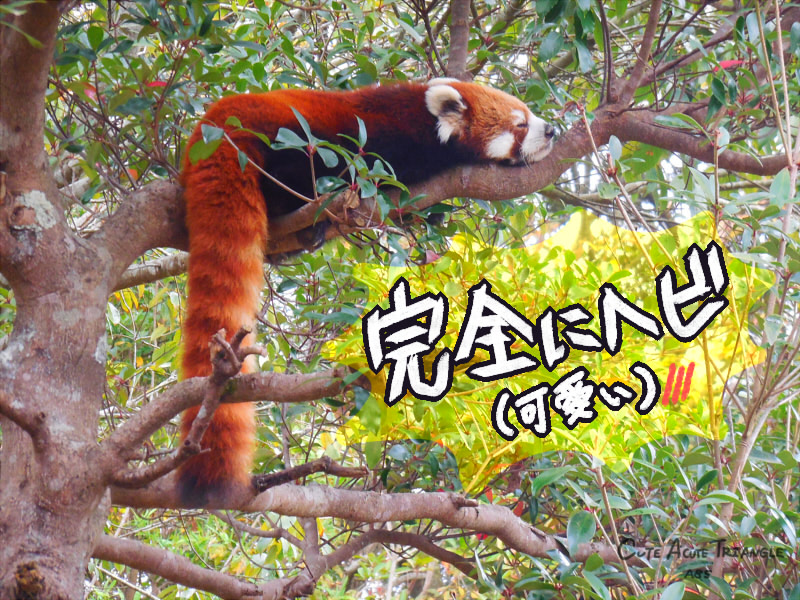 f:id:a200v:20190323105550j:plain f:id:a200v:20190323105550j:plain
