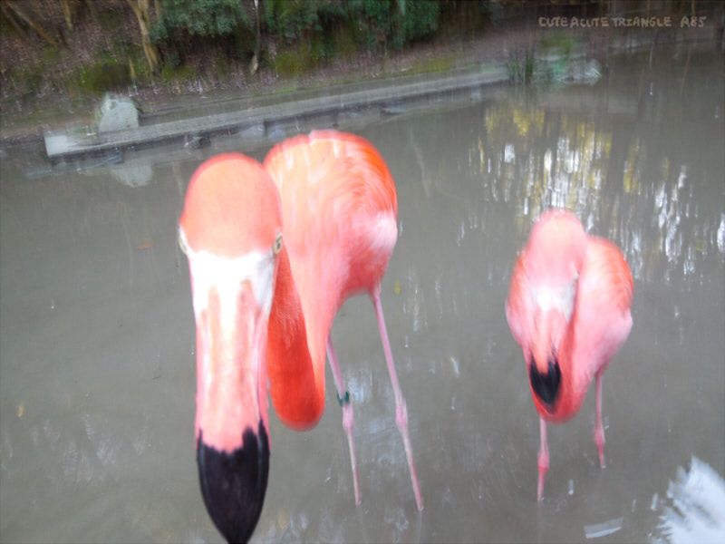 f:id:a200v:20190630181227j:plain