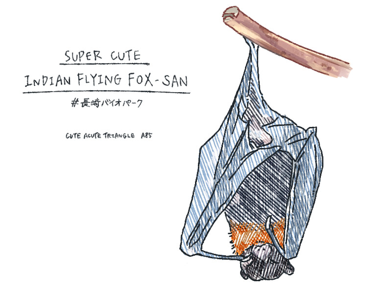 f:id:a200v:20190630185346j:plain
