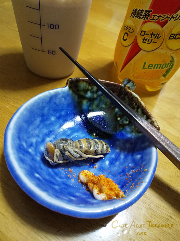 f:id:a200v:20201204173015j:plain
