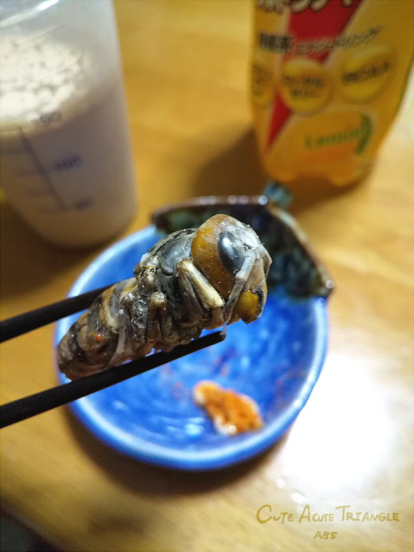 f:id:a200v:20201204173024j:plain