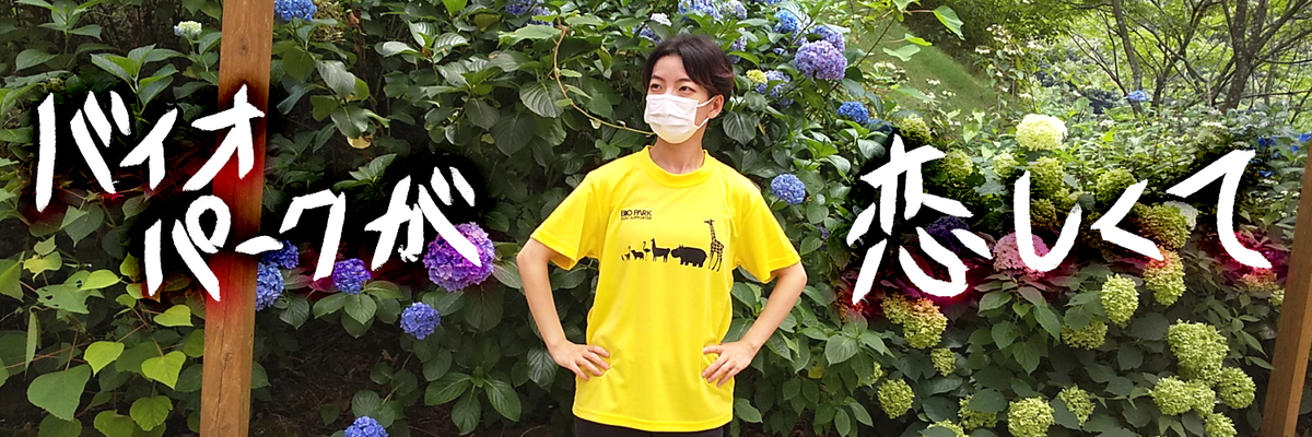 f:id:a200v:20210831190507j:plain