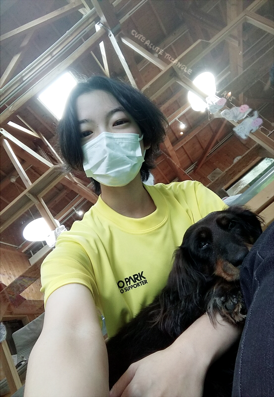 f:id:a200v:20211110183117j:plain